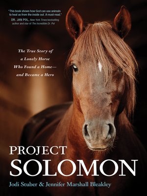 Project Solomon - ebook